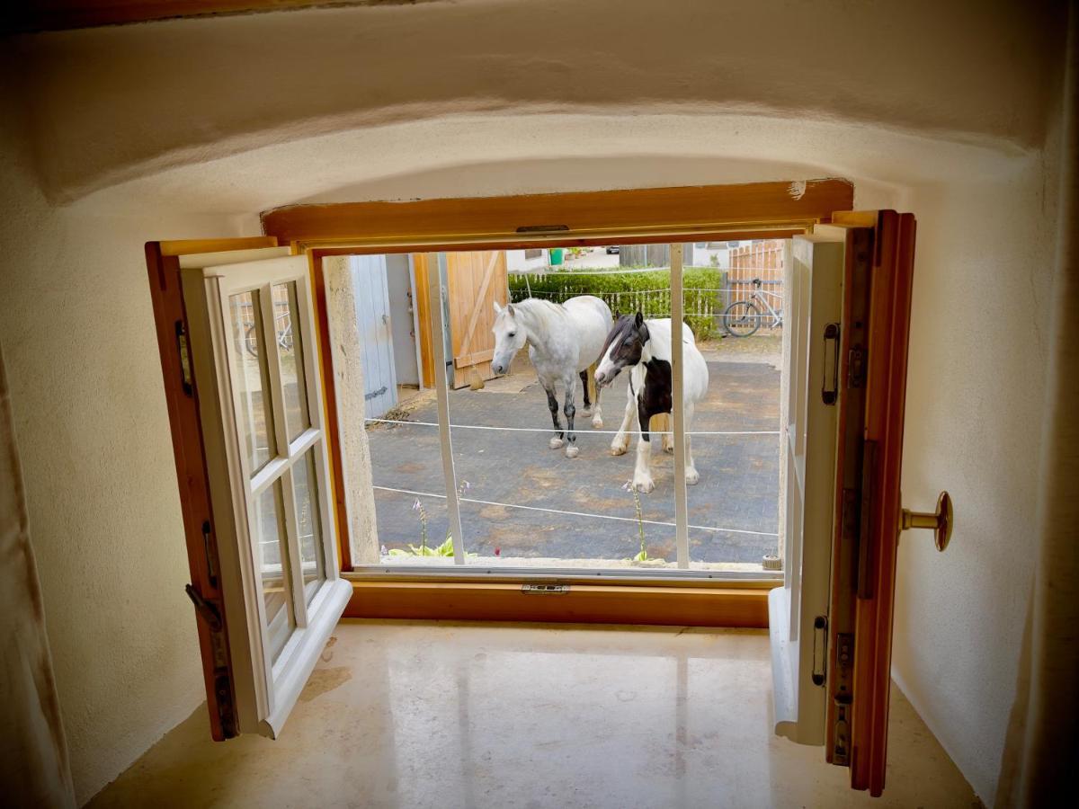 Rohrachhof Daire Treuchtlingen Dış mekan fotoğraf