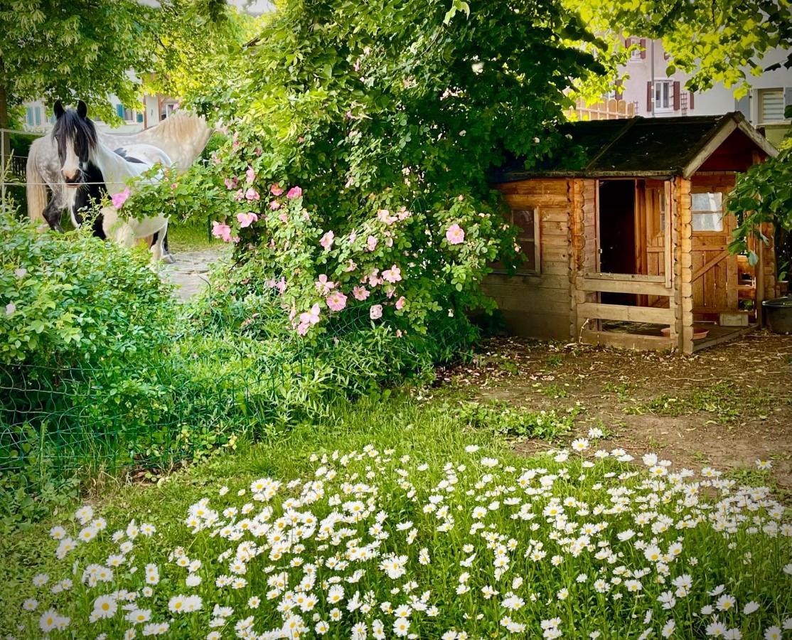 Rohrachhof Daire Treuchtlingen Dış mekan fotoğraf